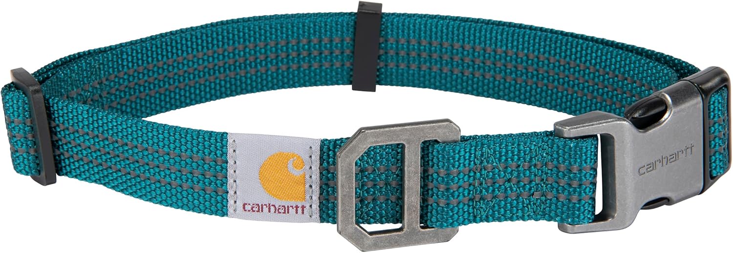 best dog collar