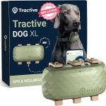 dog collar gps tracker