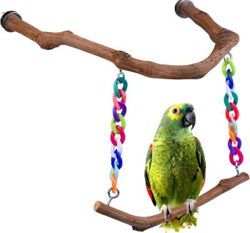 bird swing toys