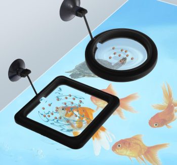 betta fish food