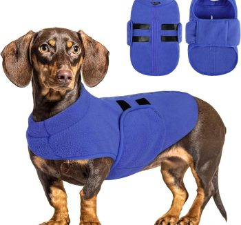 dog sweater warm