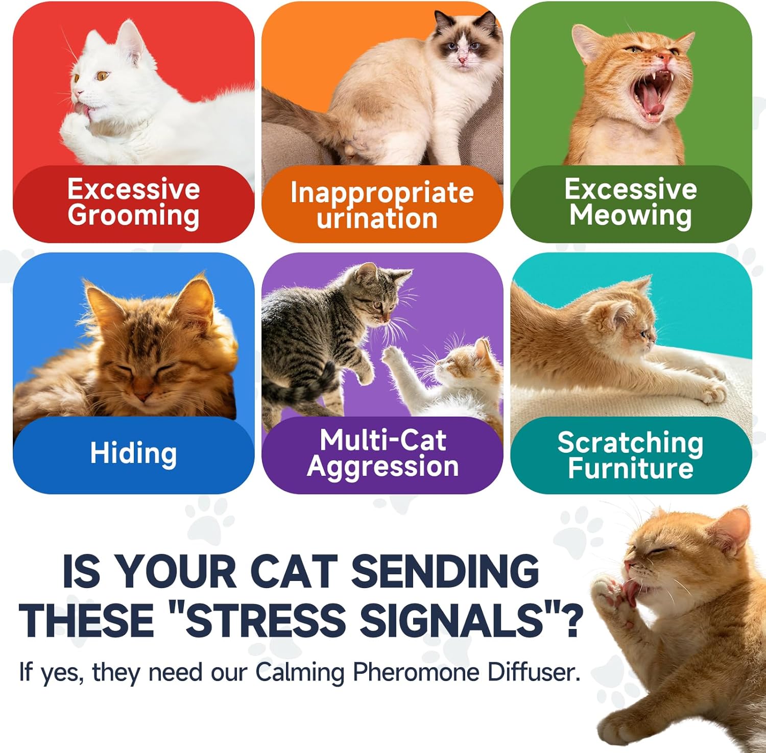 Anti Cat Pee Diffuser Calm Calming Cat Pheromone Pet Diffuser Plug In Spray Relaxer For Cats Anxiety Feromonas Calming Pheromones Relaxing Stress Diffuser Calmer With 4 Refill Peeing Cat Diffusers - Happypetzone.online - Image 3
