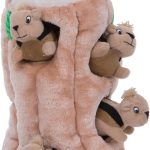 best dog toys
