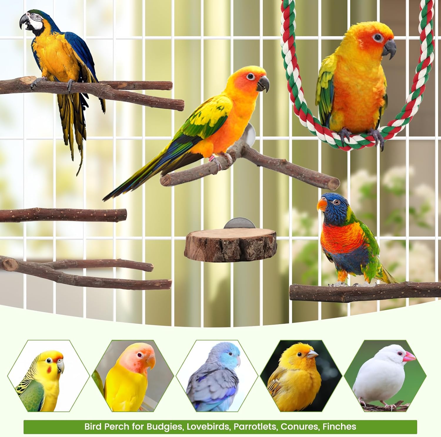 BILLIOTEAM 9PCS Apple Wood Bird Perches, Natural Parrot Stand & Chewing Toy with Multi-Branch, Straight Perch Stand, Platform & Climbing Rope, Cage Accessories for Parakeets, Cockatiels, Budgies - Happypetzone.online - Image 7