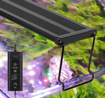 aquarium light full spectrum