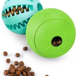 dog puzzle toys