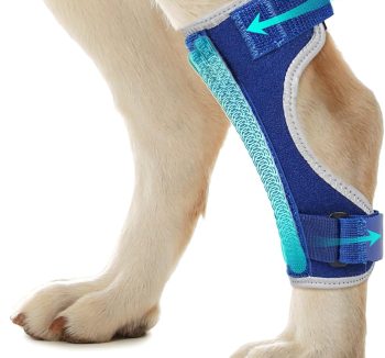 dog hip and joint care