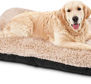 dog crate bed soft