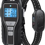 dog training collar