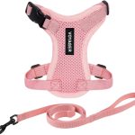 cat harness for small cats