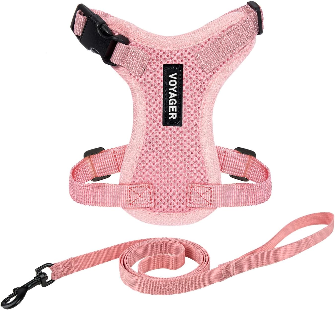 cat harness for small cats