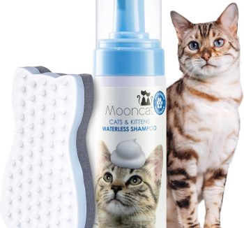 cat grooming supplies set