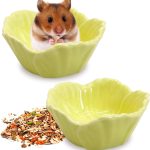 guinea pig food