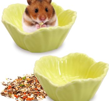 guinea pig food