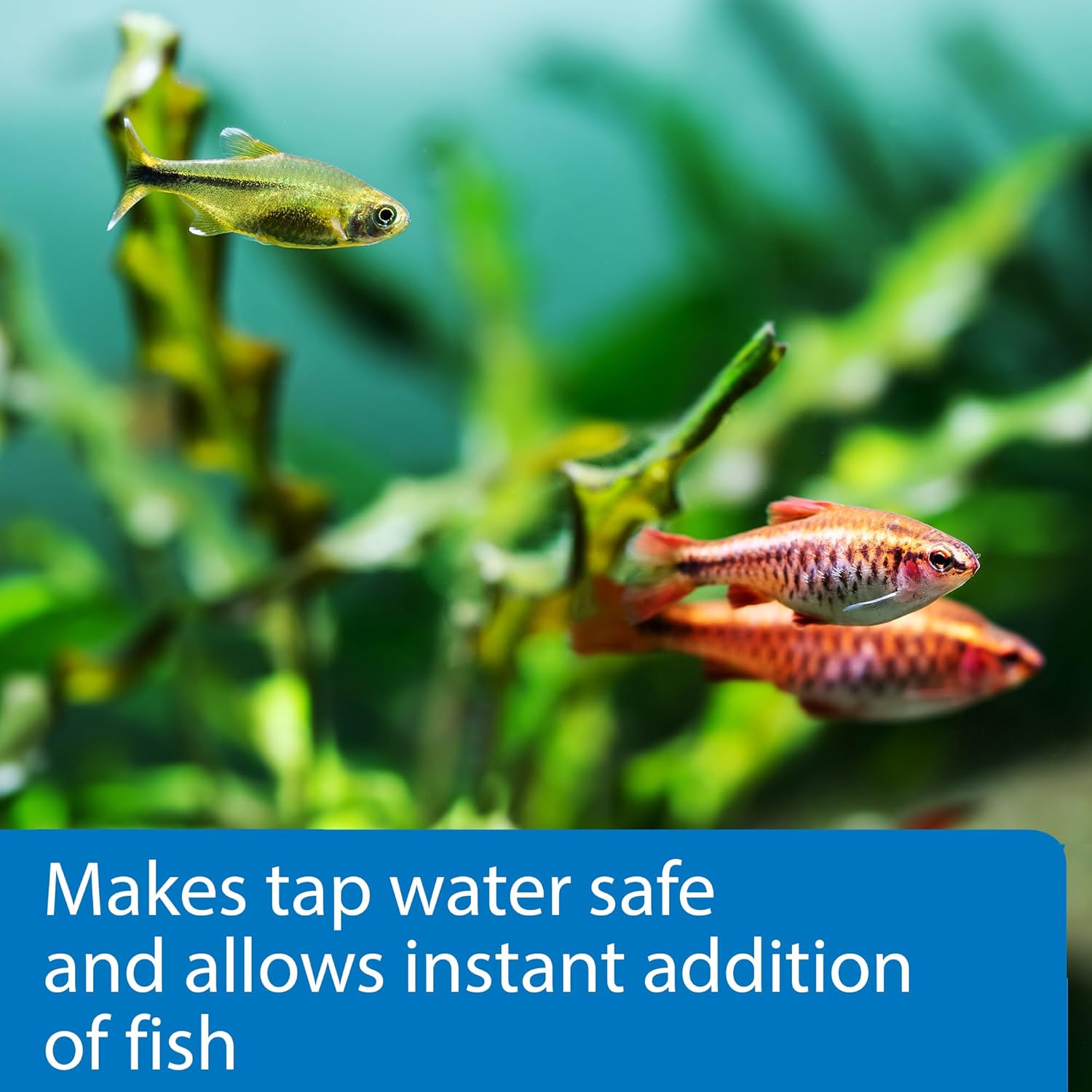 API Perfect Start Complete Aquarium Start Up Program Additive, 1 Count (Pack of 1) - Happypetzone.online - Image 4