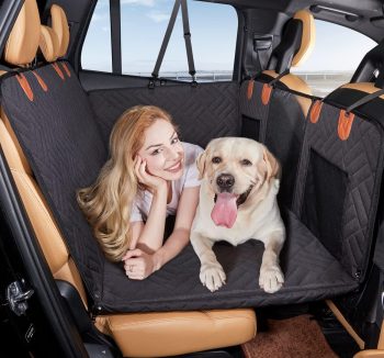 dog car protection cover