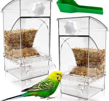 canary bird food