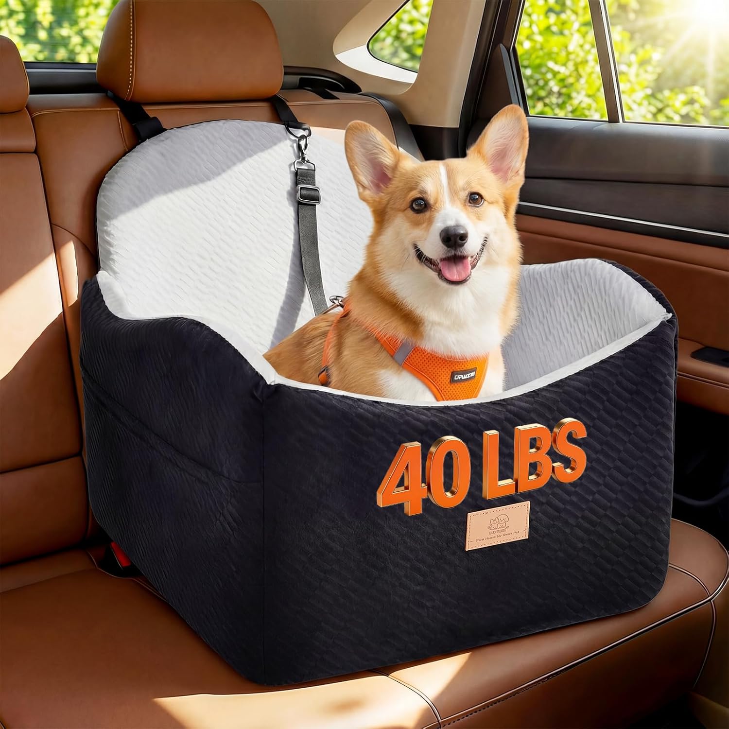 dog car booster seat