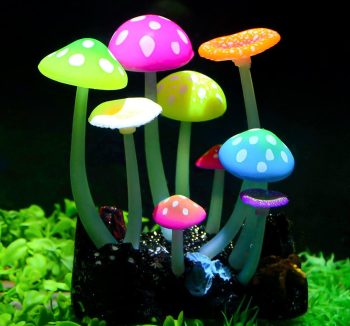 aquarium decor amazon best