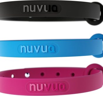 cat collar with name tag