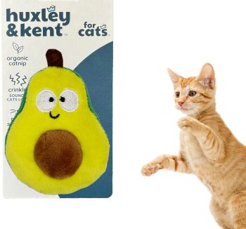cat treats for bonding