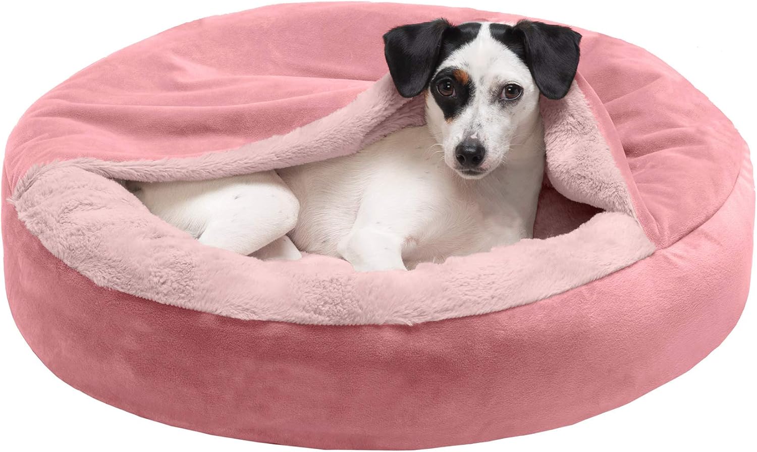 cat bed donut