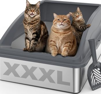 cat litter box large