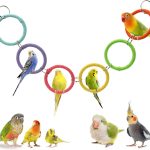 bird swing toys