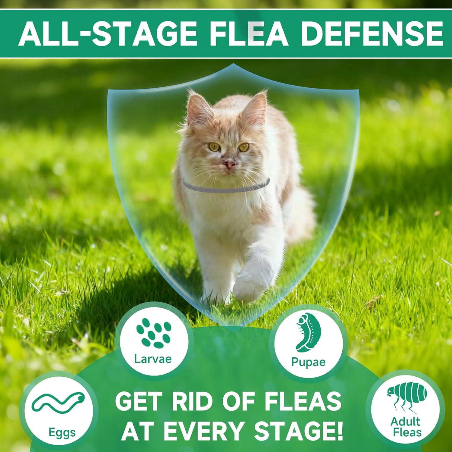 4 Pack Cat Flea Collars, Cat Flea and Tick Treatment, 32 Months Protection Flea and Tick Prevention for Cats, Waterproof Flea Collar for Cats, One Size Fits All for All Breeds, Grey - Happypetzone.online - Image 4