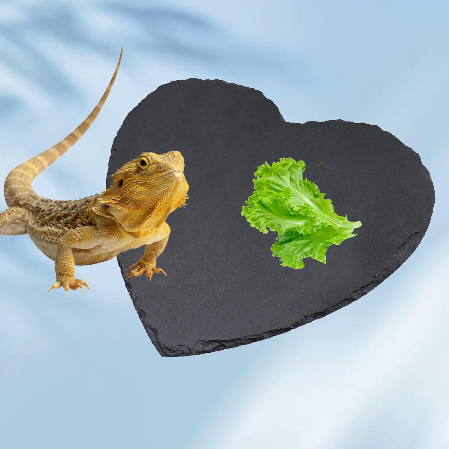 Reptile Basking Platform, 7.9 × 7.9 inch Tortoise Rock Plate, Heart Shape Natural Rock Reptile Food Dish, Turtle Feeding Bowl, Habitat Decor for Bearded Dragon Chameleon Frog Lizard Gecko Hermit Crab - Happypetzone.online - Image 4