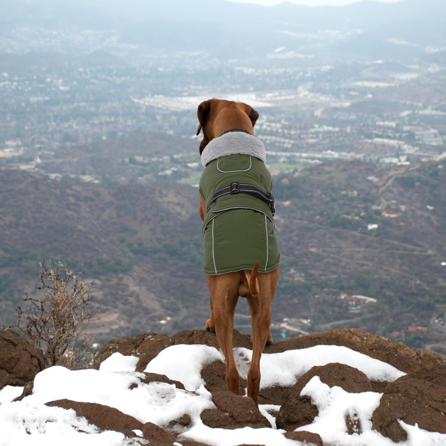 Lelepet Warm Dog Coat Reflective Fleece Vest Waterproof Dog Jacket with Adjustable Buckle Hook & Loop Windproof Cold Weather Coats for Small Medium Large Dogs, Army Green, M - Happypetzone.online - Image 7