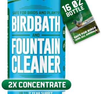 bird safe cleaning solution