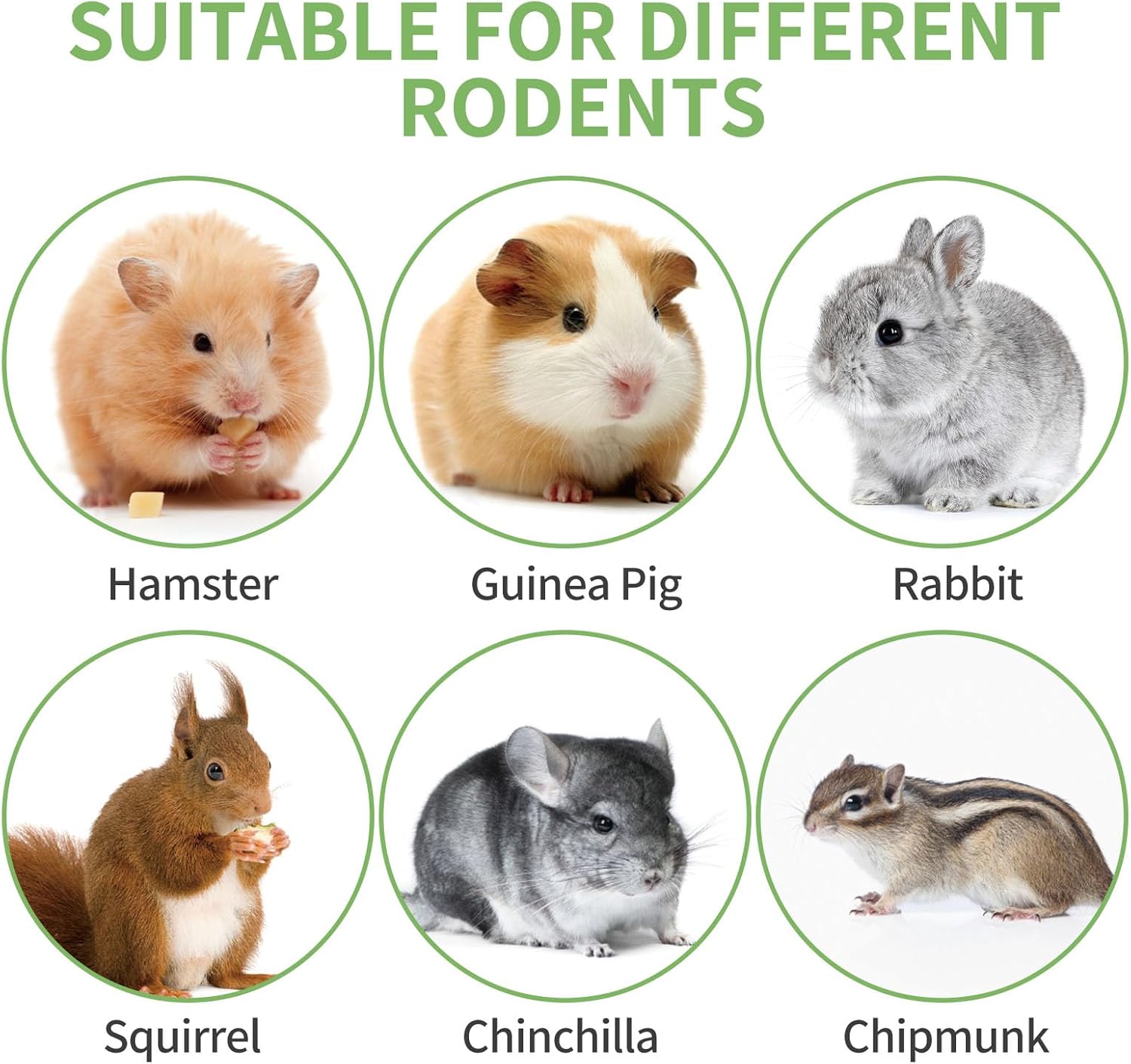 50-60 PCS Natural Rabbit Chew Toys, Treats, Timothy Sticks, Apple Sticks, Sweet Bamboo for Guinea Pig, Hamster, Chinchilla, Rat, Small Animals - Happypetzone.online - Image 8