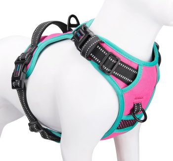 best dog harness for training
