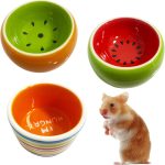 balanced small animal diet