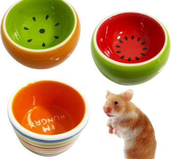 balanced small animal diet