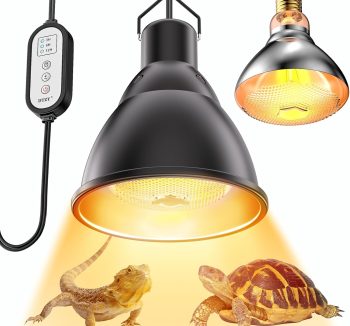 best reptile heat lamp