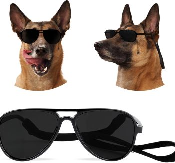 dog sunglasses