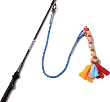 dog training tools