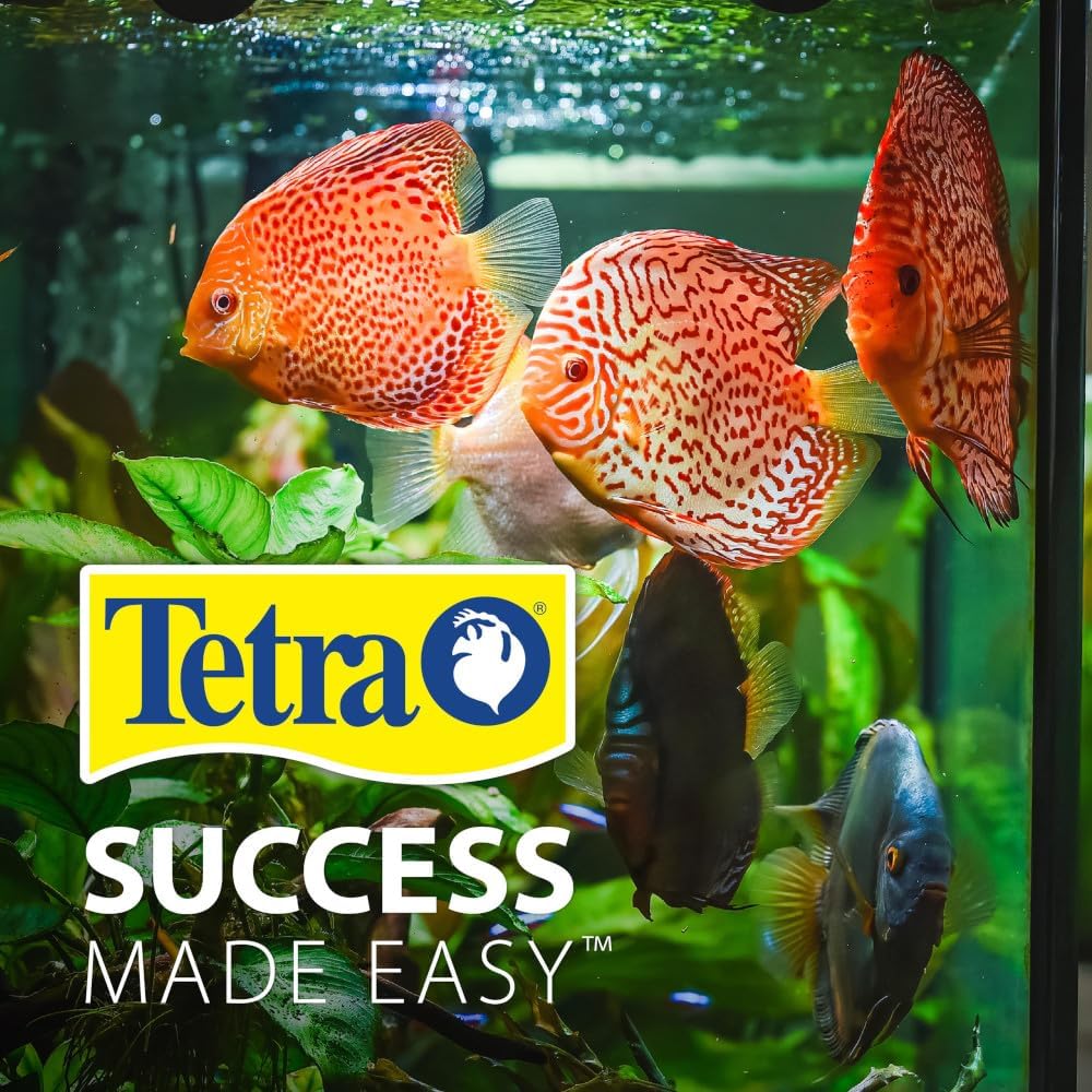 Tetra 3 Gallon Fish Tank, Aquarium Starter Kit with Pedestal Base, LED Light and Filter, For small tropical fish, guppies, goldfish, or betta - Happypetzone.online - Image 9