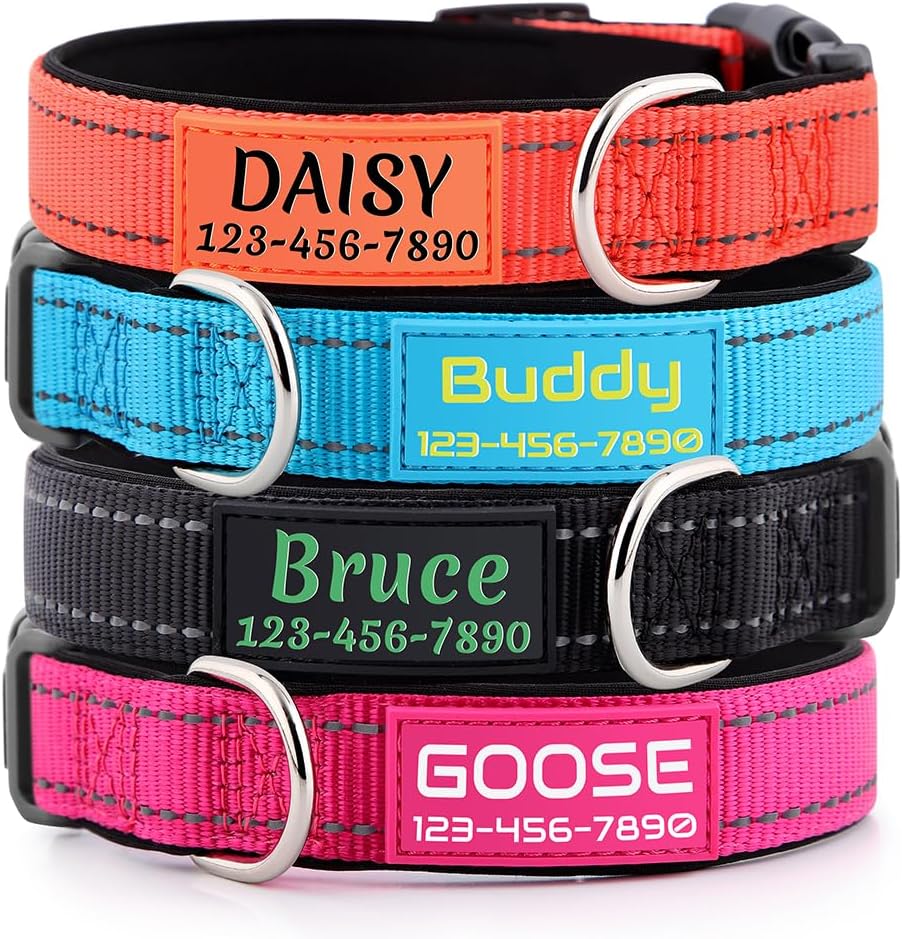 dog collar with name tag