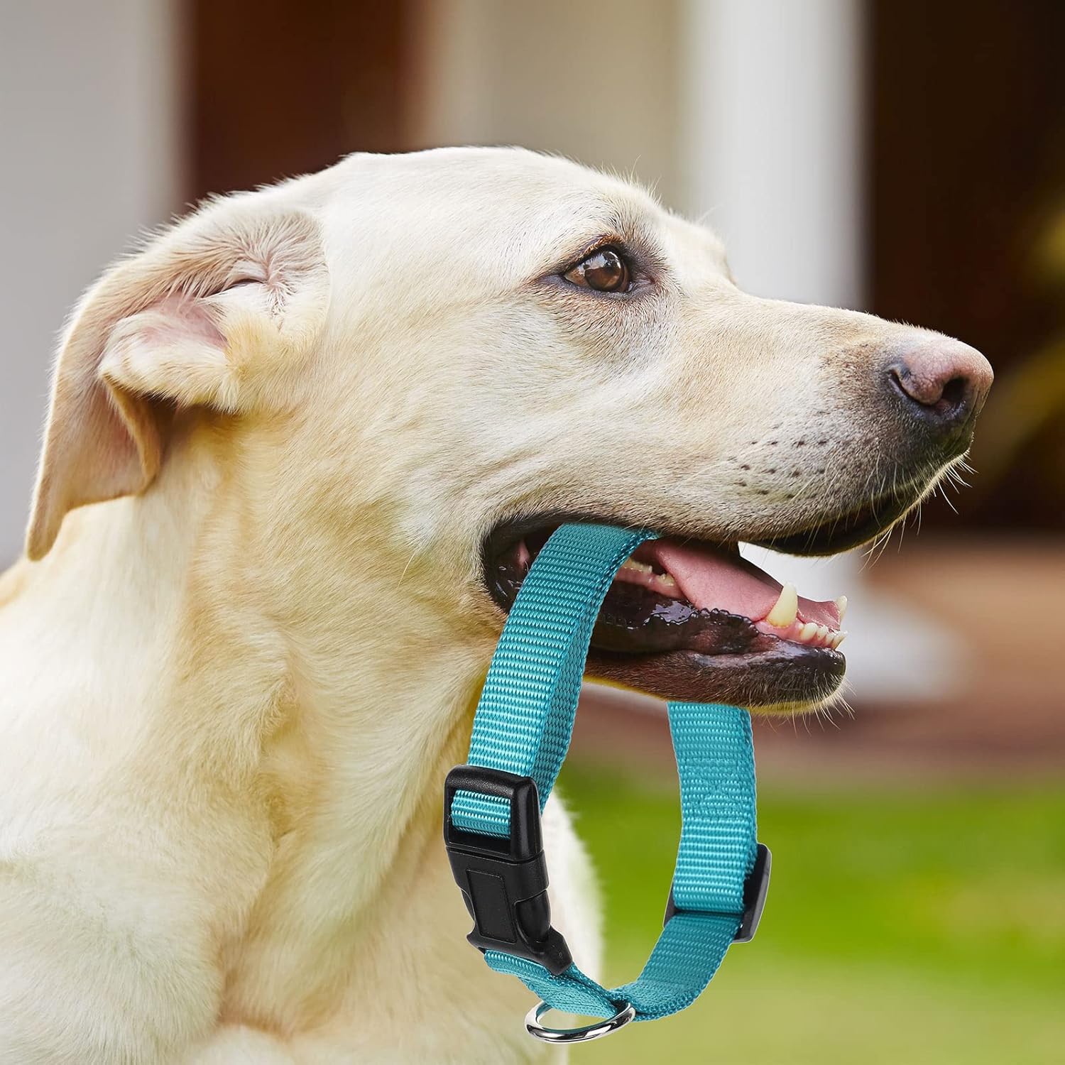 9 Pieces Adjustable Dog Collar for Animal, Soft Nylon Pets Puppy Collar with Quick Release Buckle Holder Bulk for Dogs Walking Running Training(Medium,Retro Colors) - Happypetzone.online - Image 5