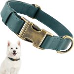 dog collar leather
