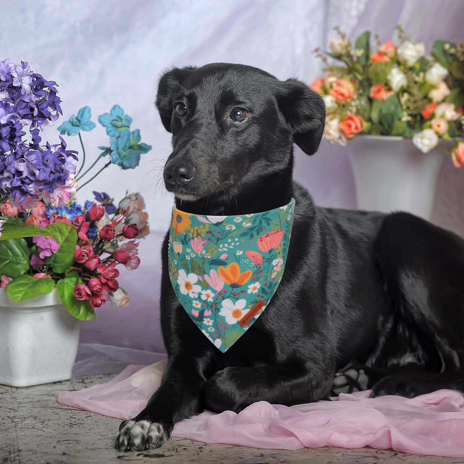ADOGGYGO Floral Dog Bandana, Orange Green Flower Pet Scarf, Adjustable Fit Floral Bandanas for Medium Large Dogs Pets (Large) - Happypetzone.online - Image 3