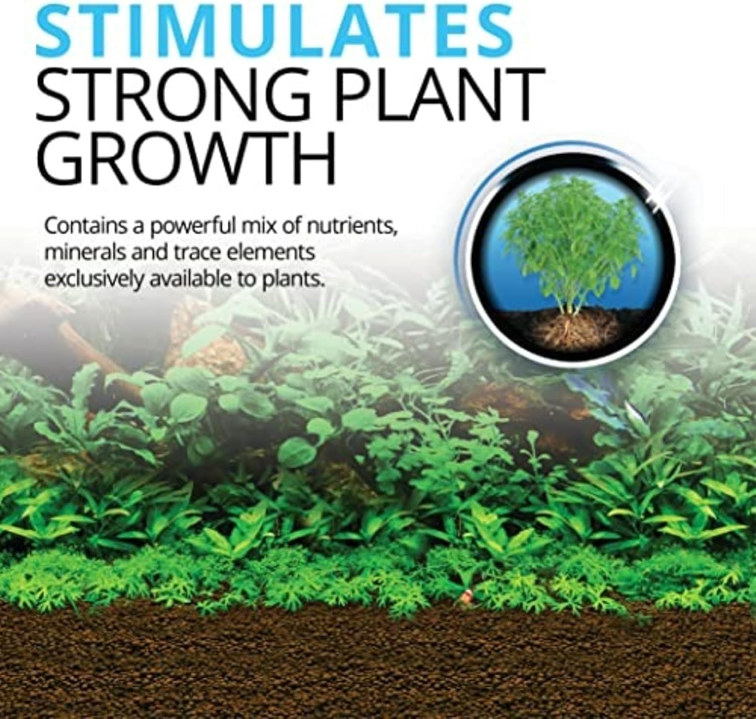 Fluval 12696 Natural Mineral-Rich Volcanic Soil Bio Stratum for Planted Tanks, 4.4 lbs. - Aquarium Substrate for Healthy Plant Development, Growth, and Color - Happypetzone.online - Image 3