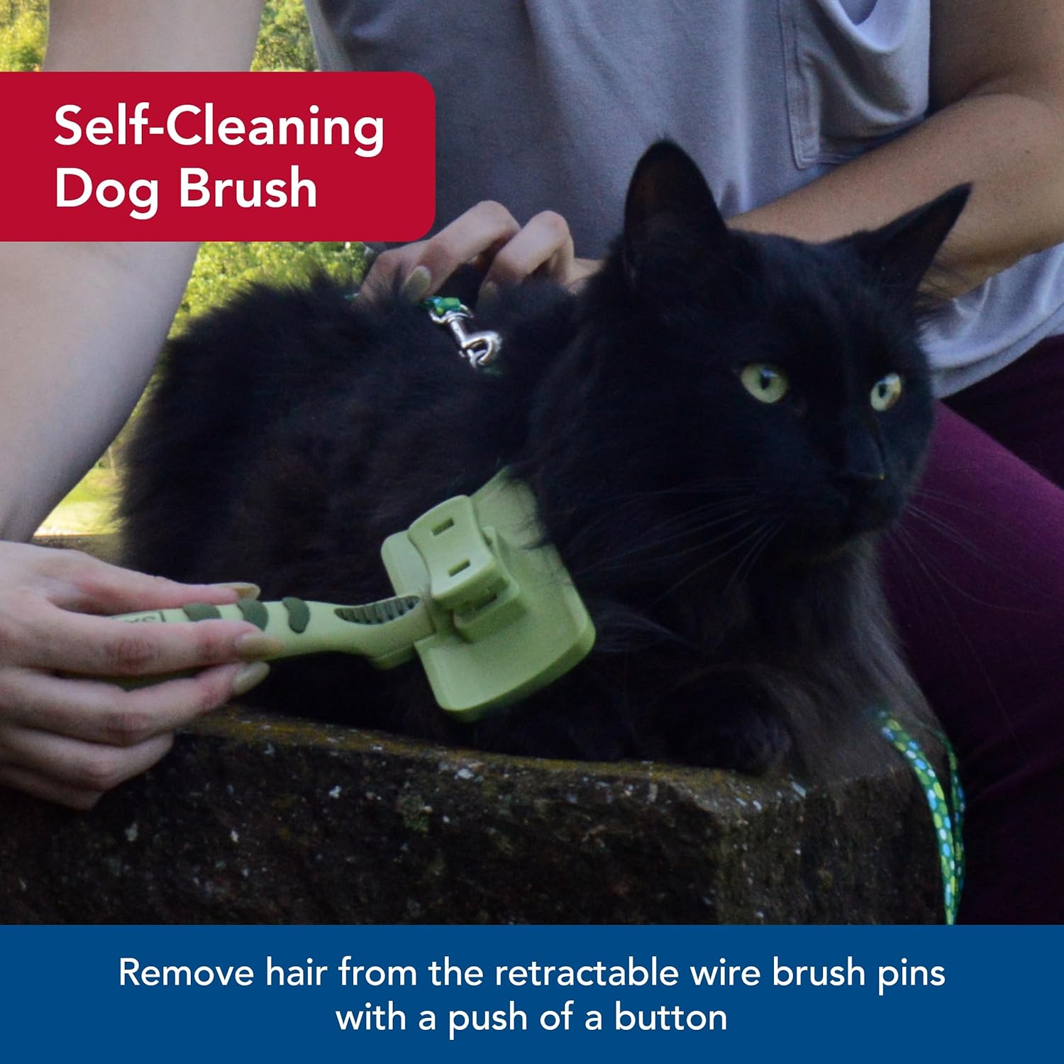 Coastal Pet Safari - Cat Self-Cleaning Slicker Brush - Cat Grooming Supplies - Happypetzone.online - Image 3