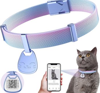 cat collar personalized