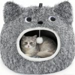 cat bed indoor