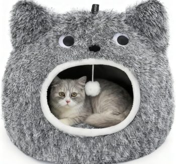 cat bed indoor