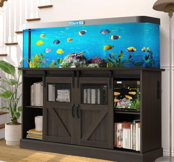 aquarium tank large